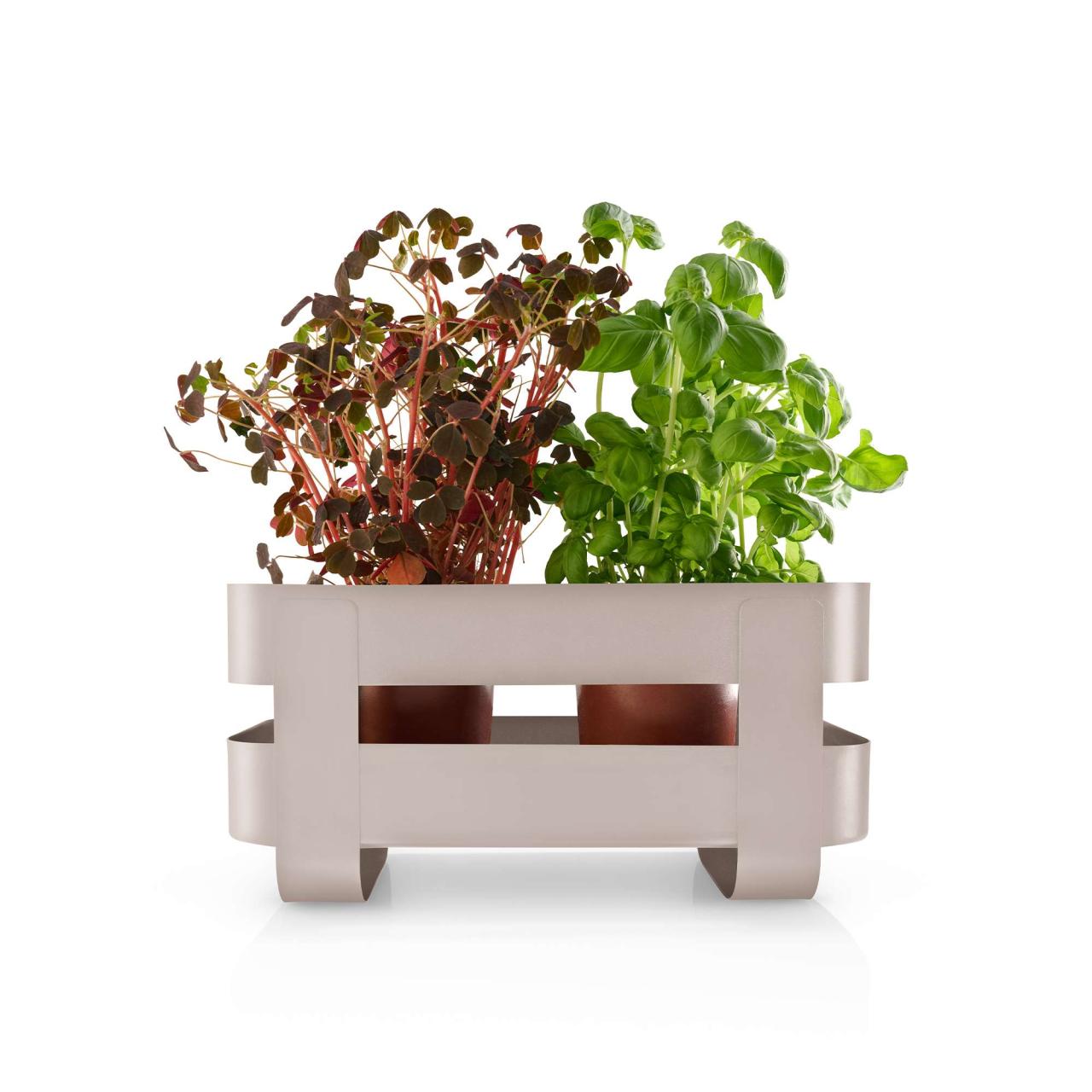 Self-watering herb organiser steel - Sand