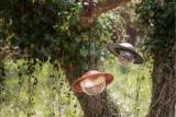 Saturn Bird feeder - Copper