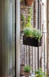 Simply Grow Balcony Planter