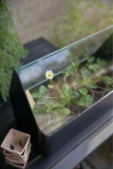 Simply Grow Mini Greenhouse